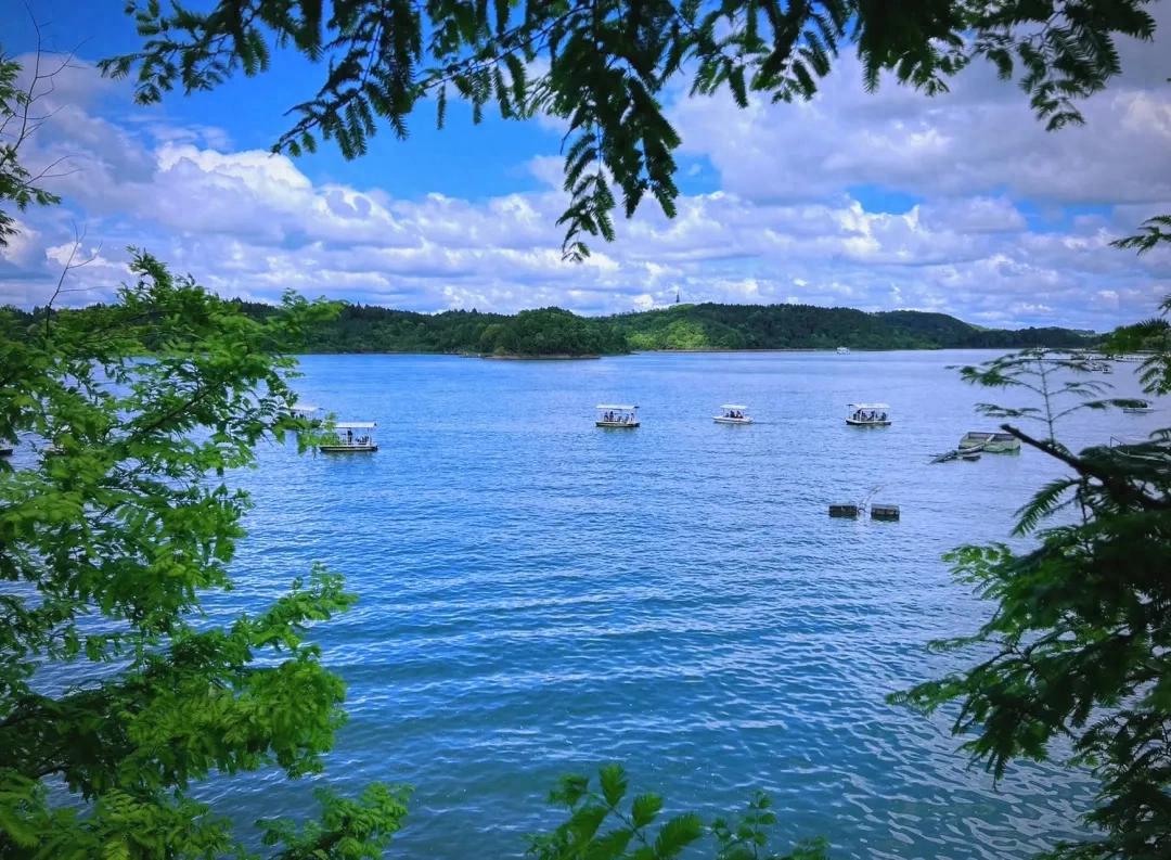 高铁直达！四川被低估的景区，有川渝版千岛湖之称，适合周末遛娃