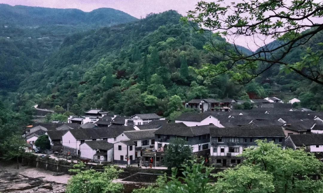 杭州周边2h可达的百年古村，人少冷门无门票，适合春日躺平